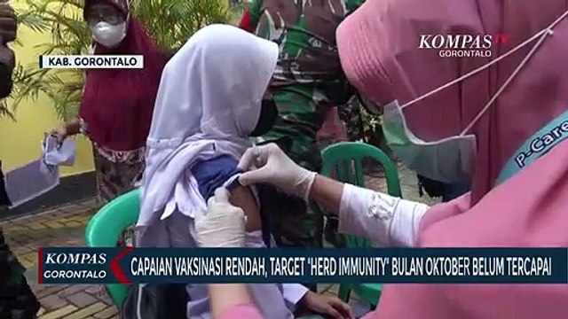 Capaian Vaksinasi Rendah, Target Herd Immunity Bulan Oktober Belum Tercapai
