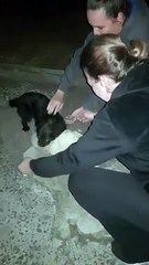 Após 11 dias de desparecimento, cachorrinha Frida é localizada e devolvida para tutora