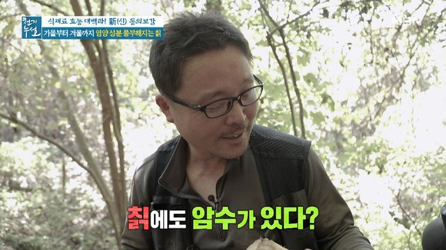 칡에도 암수가 존재한다? 칡에서 섭취하는 부위는?