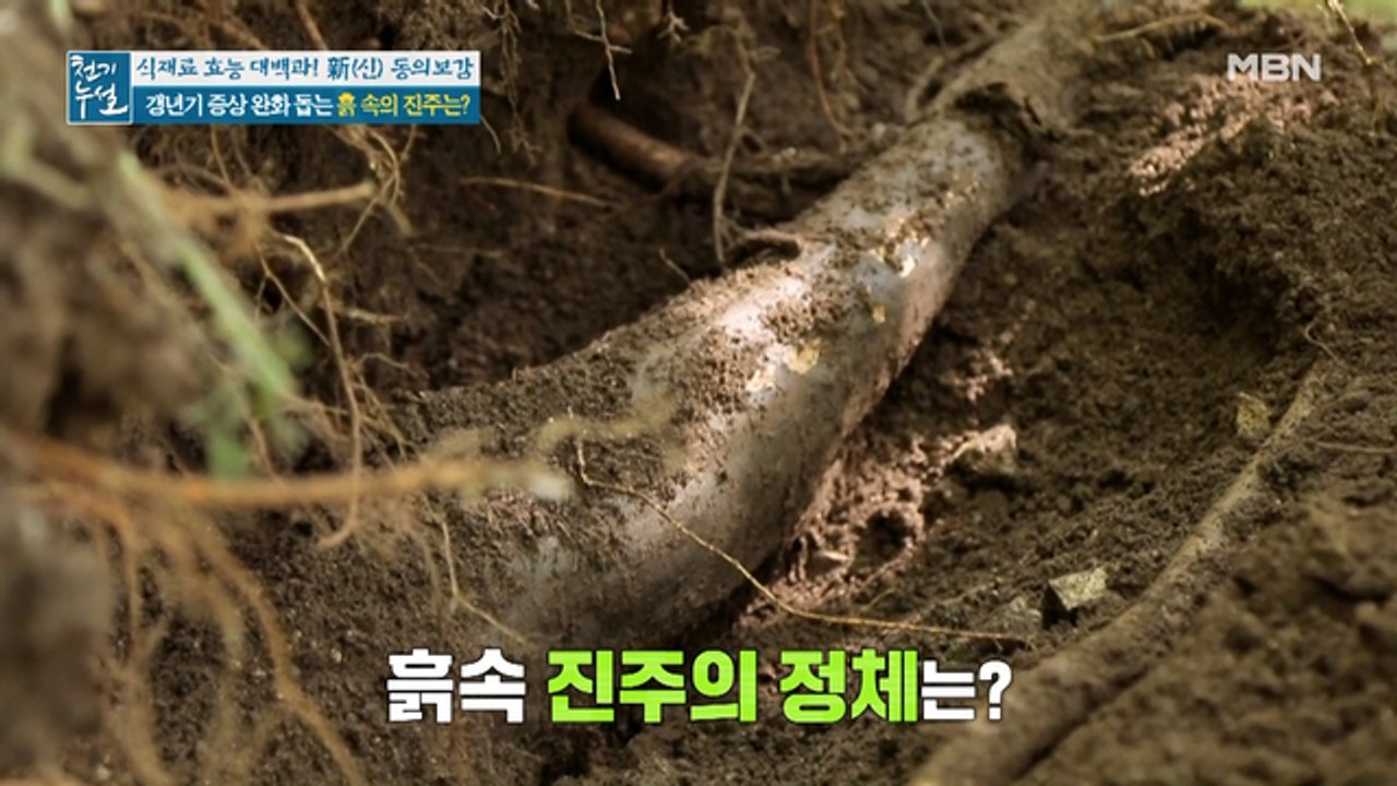 깊은 산속, 골다공증과 갱년기 관리 돕는 식재료는?
