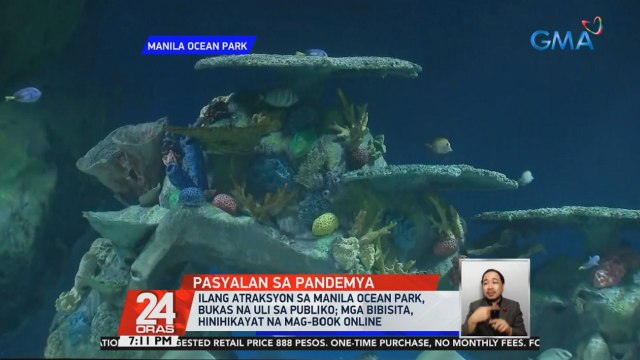 Ilang atraksyon sa Manila Ocean Park, bukas na uli sa publiko; Mga bibisita, hinihikayat na mag-book online | 24 Oras