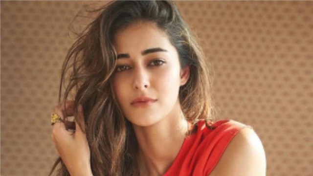 Drugs Case: Here's what NCB asked Ananya Panday