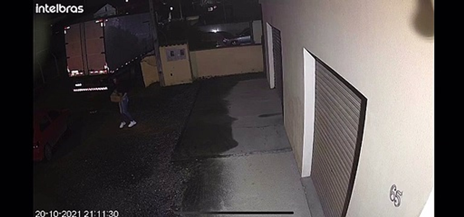 Cão é abandonado na frente de casa em Joinville