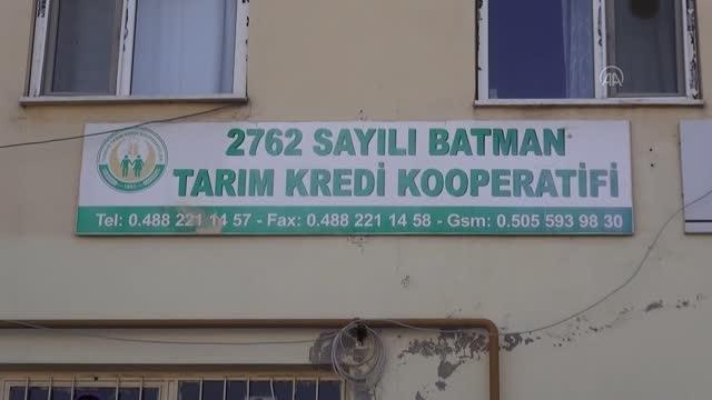 Çiftçilere hibe destekli kırmızı mercimek tohumu dağıtıldı