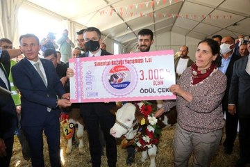 Buzağılar ve düveler güzellikleri ile yarıştı, ödüllerini Bakan Pakdemirli verdi
