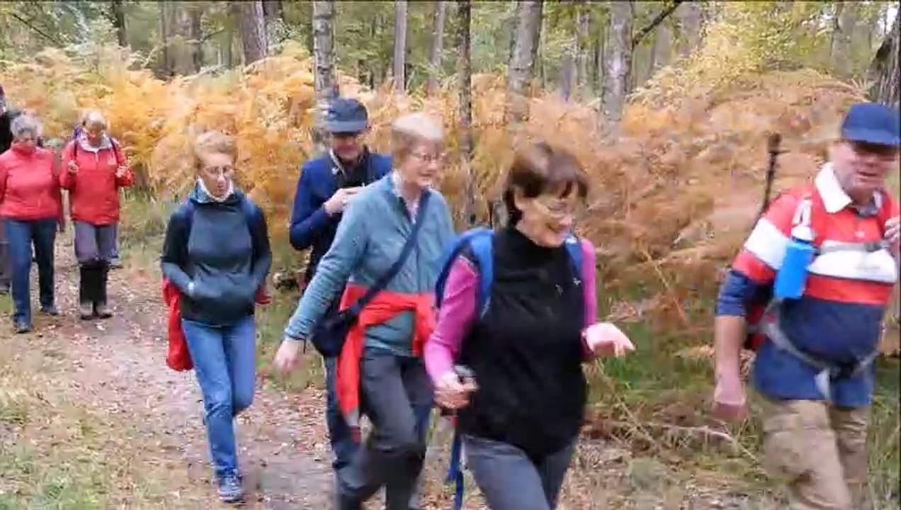 2021-10-FORET D'ORLEANS