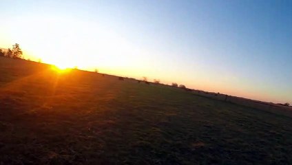 Caminando hacia el Atardecer - Sonidos de la Naturaleza  | Matías HD