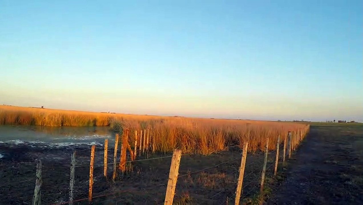 Caminando por la Naturaleza - Sonidos de la Naturaleza  | Matías HD