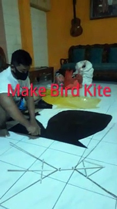 Make Bird Kite
