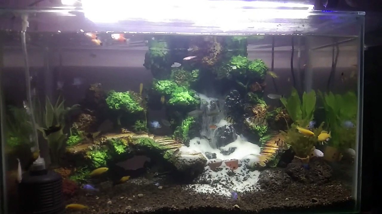 aquascape air terjun