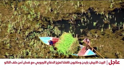 ...الخلايا تقوم الفيروسات...