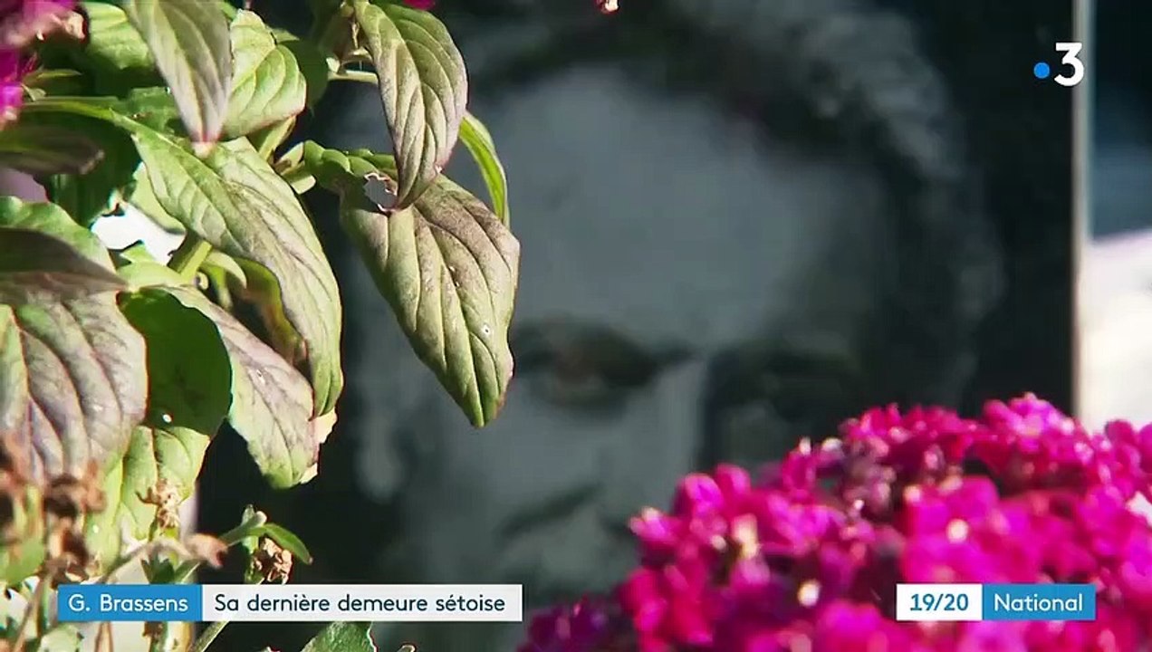 Georges Brassens : sa dernière demeure sétoise, un "cimetière des pauvres" face à l'étang
