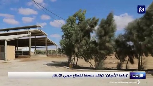 زراعة الأعيان تؤكد دعمها لقطاع مربي الأبقار