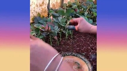 KUMPULAN VIDEO SATISFY #2  (memanjakan mata anda)