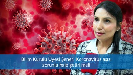 BÜLTEN / DOLAR FREN TUTMUYOR