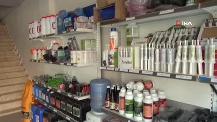 Sütte yeni dönem başlıyor