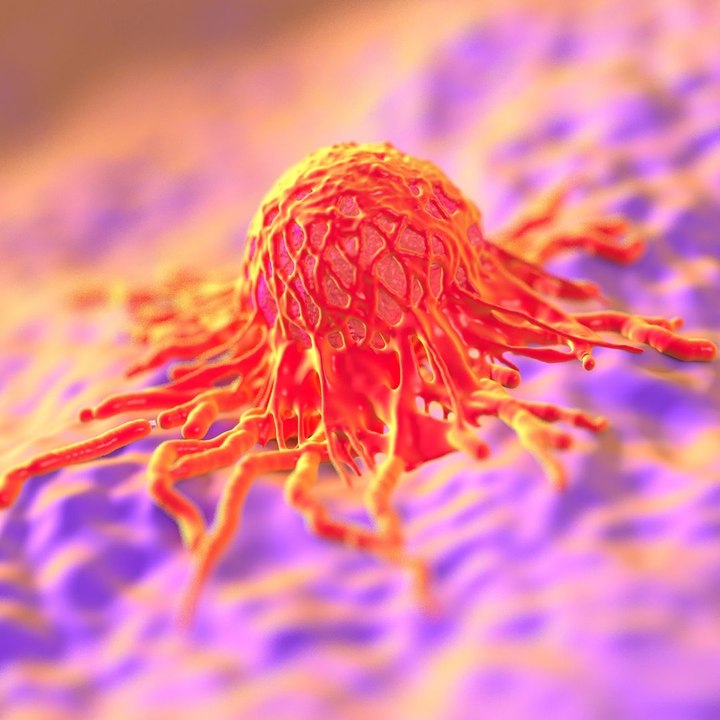 What If We Had a Secret Weapon Against Cancer?