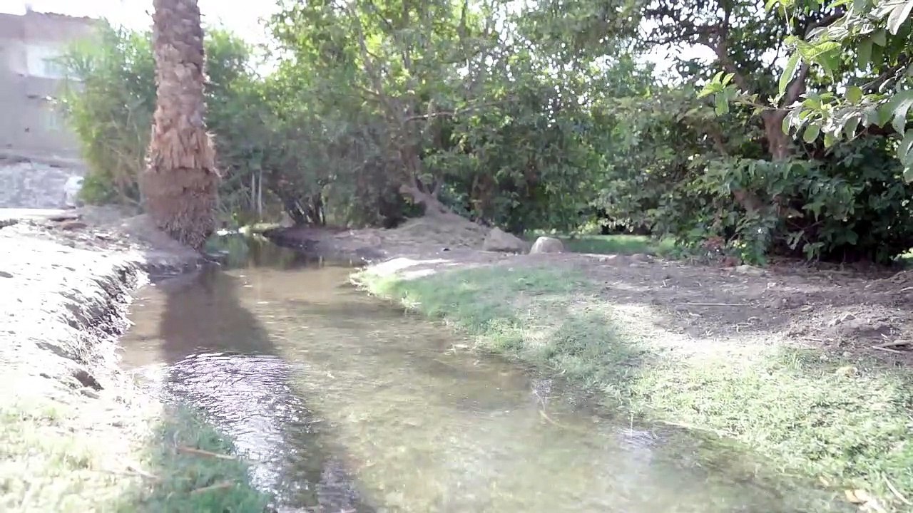 القائم بعمل رئيس جامعة سوهاج يزور طالبا نجح فى محو أمية والدته و5 دارسين آخرين