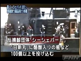 シーシェパードから再び攻撃受け3人がけが