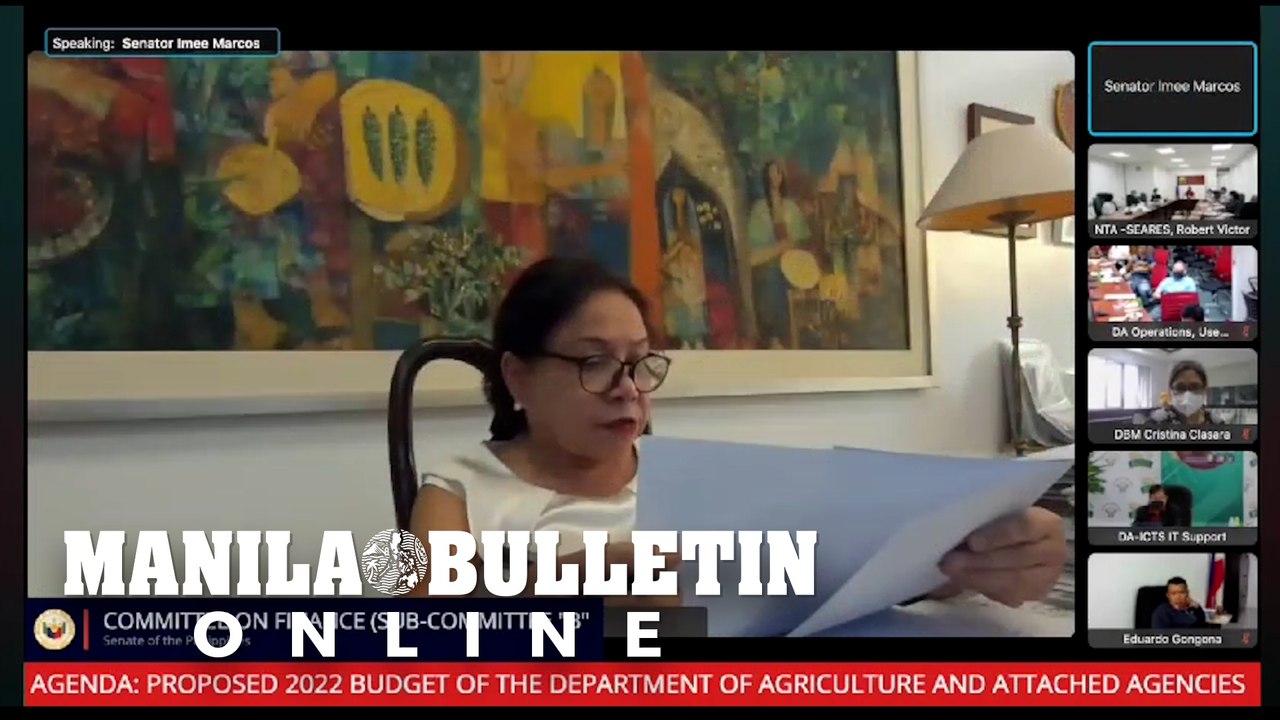 Villar loses cool during DA budget hearing