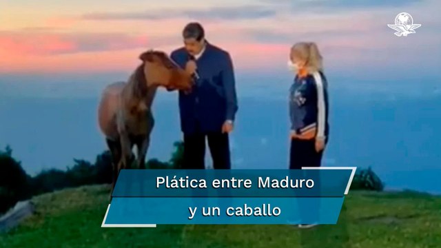Nicolas Maduro habla del legado de Hugo Chávez con un caballo y genera burlas en las redes