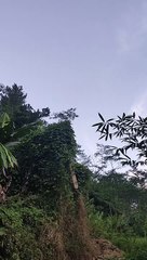 small river in the countryside