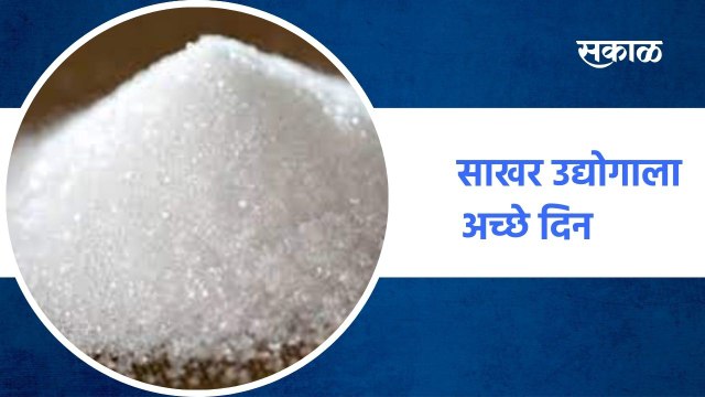 Kolhapur ;साखर उद्योगाला अच्छे दिन, एकरकमी एफआरपी देण्यासाठी स्पर्धा ; पाहा व्हिडीओ