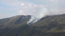 Son dakika haberi... Manavgat'ta ormanlık alanda çıkan yangın kontrol altına alınmaya çalışılıyor