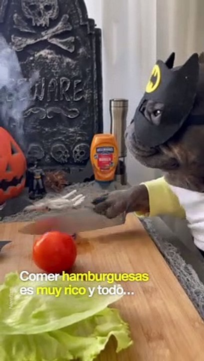El chef Batman buldog francés