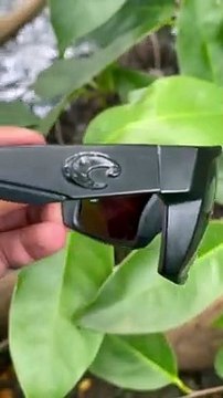 Polarized Sunglasses Reveal Lurking Reptile