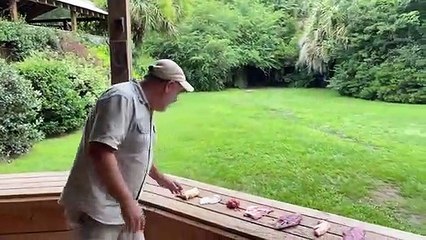 Giant_Tiger_Charcuterie_Mukbang(480p)