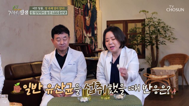 지방 & 체중 감소에 좋은 『LGG 유산균』 TV CHOSUN 20211023 방송