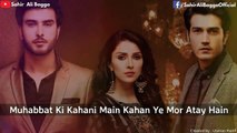 Muhabbat Tumse Nafrat Hai (Full Ost Lyrics ) | Rahat Fateh Ali Khan | Sahir Ali Bagga | Gaane Shaane