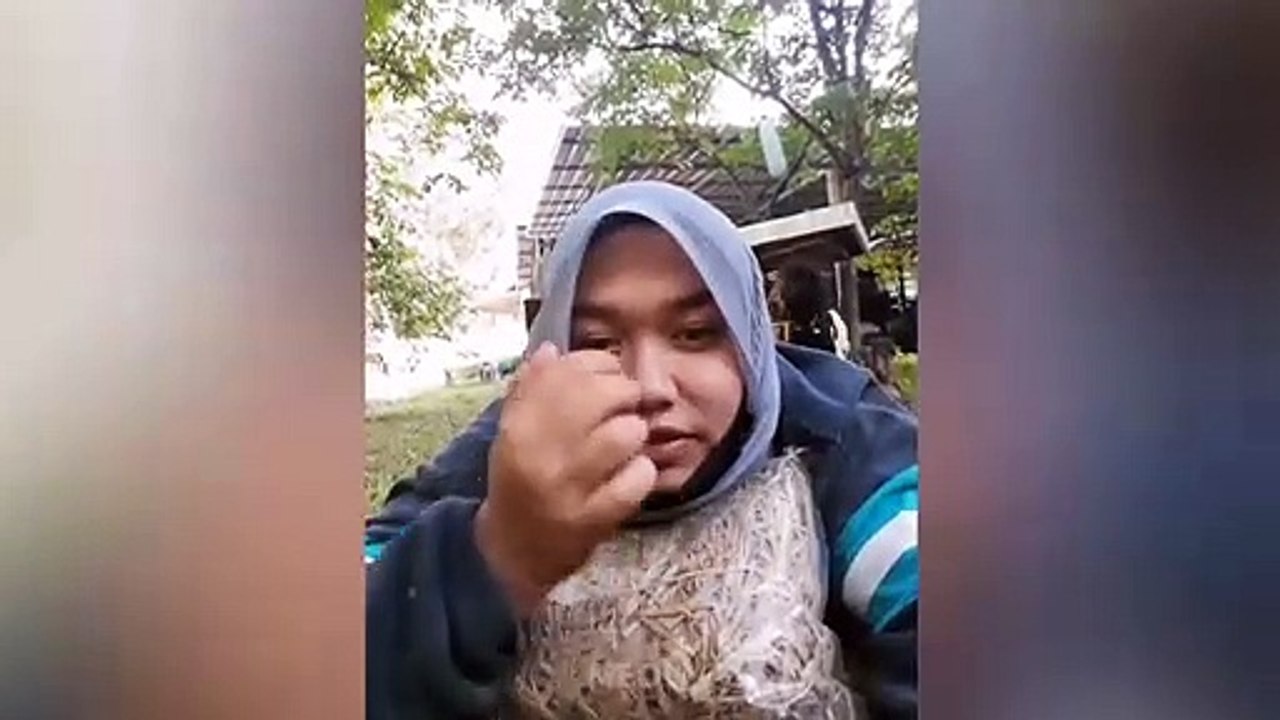 Funny Cats Reaction Videos - Try Not To Laugh