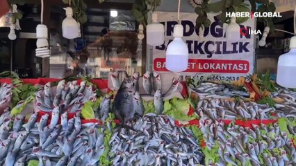 Karadeniz'de çıkmaya başlayan toriklerin tanesi 300 liradan satılıyor