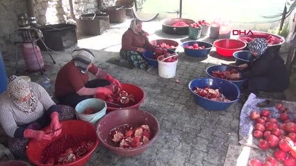 SURİYELİ AVUKAT, TÜRKİYE'DE ÇİFTÇİLİK YAPIYOR