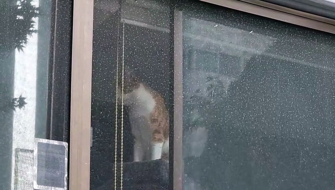 つまらないから中に入る