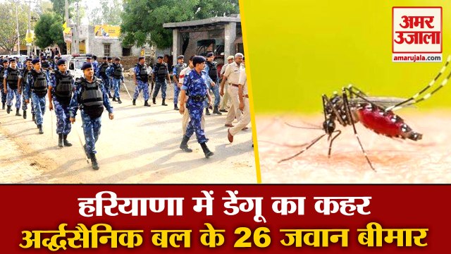 Dengue Cases Increasing In Haryana| ऐलनाबाद में चुनाव ड्यूटी के दौरान अर्द्धसैनिक बल के 26 जवान बीमार