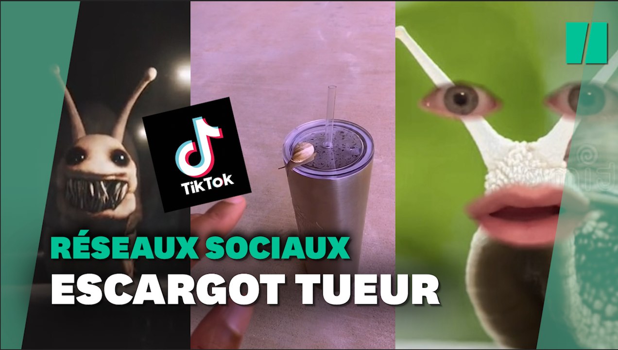À cause de TikTok, vous ne verrez plus les escargots de la même façon