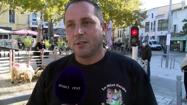 Martigues: des animaux et des engins agricoles ont envahi le quartier de Jonquières