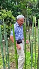 New Amazing Funny Grand Father Grand Mother - Can't stop lau