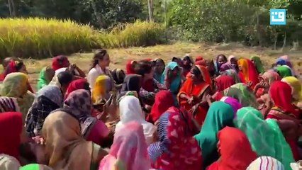 कांग्रेस महासचिव प्रियंका गांधी का 'खेत संवाद', धान काट रही महिलाओं से बात, जानी उनकी परेशानियां