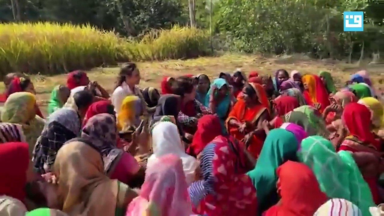 कांग्रेस महासचिव प्रियंका गांधी का 'खेत संवाद', धान काट रही महिलाओं से बात, जानी उनकी परेशानियां