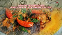 Penting! Manfaat Ikan Lele yang Kaya Nutrisi