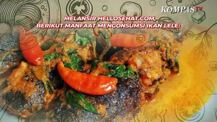 Penting! Manfaat Ikan Lele yang Kaya Nutrisi