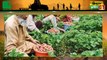 दलहन व तिलहन (pulses and oilseeds) का उत्पादन बढ़ाने पर जोर दे रही सरकार, बीज खरीदने पर मिलेगी 80% Subsidy | Kisan Bulletin | Green TV