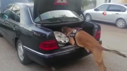 Son Dakika | Osmaniye'de narkotik operasyonları: 8 gözaltı