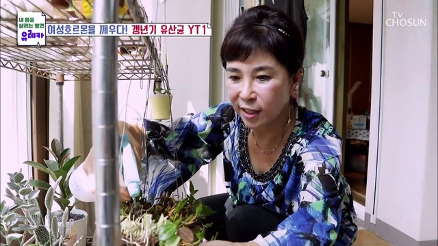 갱년기 유산균이라 불리는 ❛이것❜으로 갱년기 극복하자★ TV CHOSUN 20211024 방송