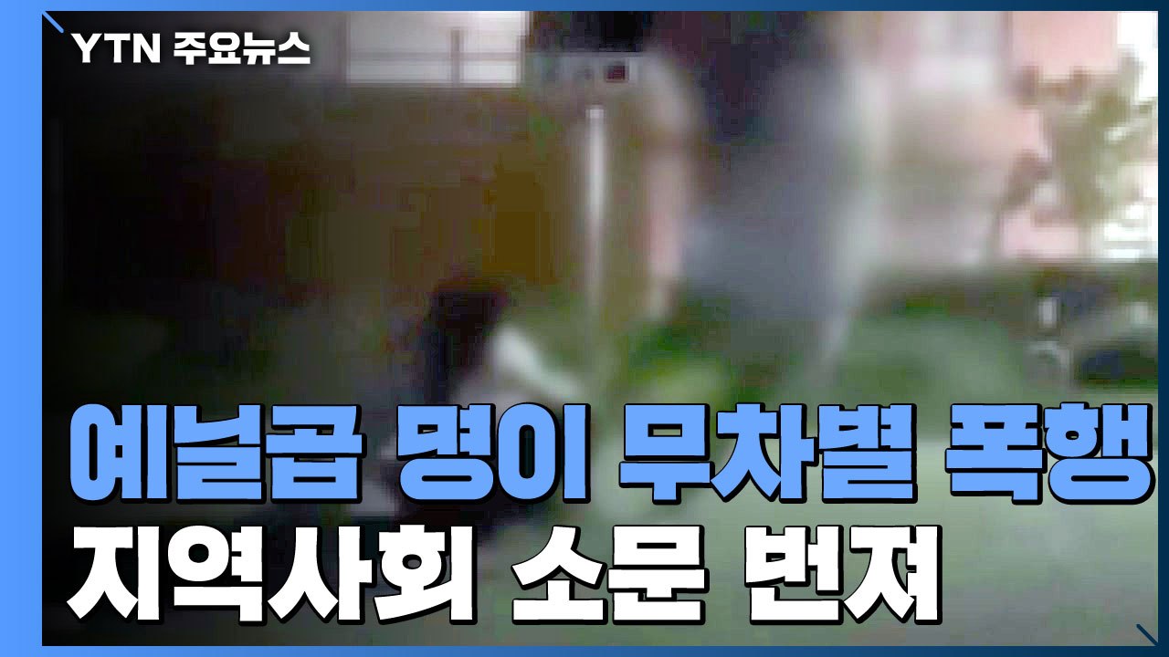 "애초에 쌍둥이를 왜 건드려?"...남원 발칵 뒤집은 집단폭행 영상 / YTN