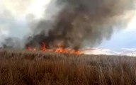 Son dakika haber | Yüksekova'daki Nehil Sazlığı'nda yangın